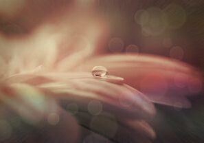 drop-of-water-642619