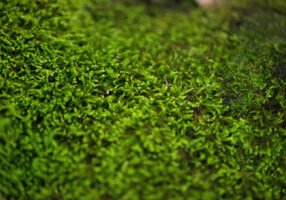 kevin-bluer-569336-unsplash