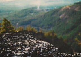 landscape-731354_1920